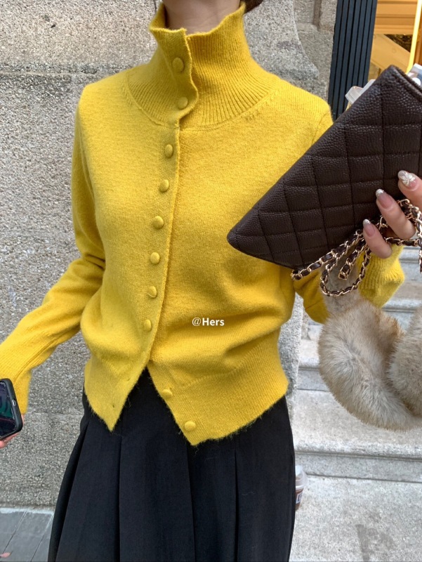 Autumn new turtleneck wool sweater jacket single-breasted loose short bottoming raccoon fleece sweater