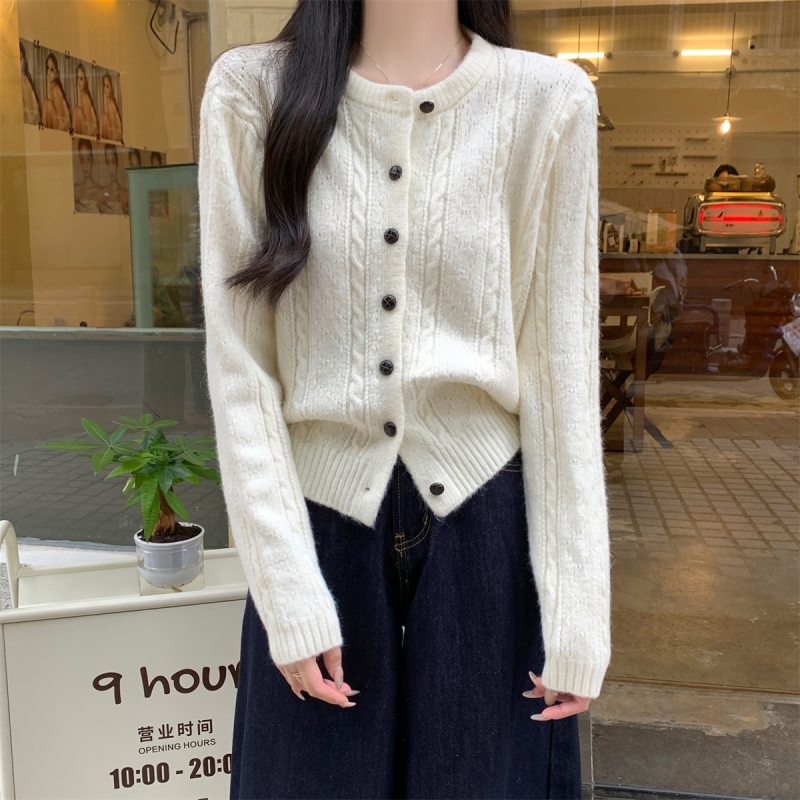 Autumn and winter Korean style round neck loose design soft and waxy Arctic velvet sweater long-sleeved sweater jacket