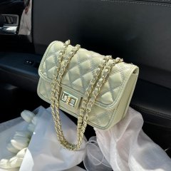 Chain bag for women summer 2024 new trendy fashion versatile shoulder bag feeling niche small square bag