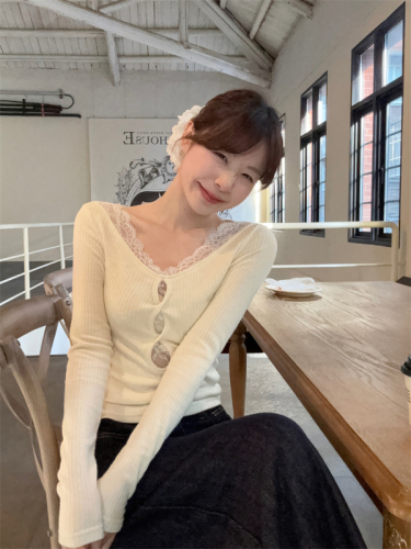 Bottoming shirt for women 2024 new hot style autumn and winter high-end T-shirt short lace long-sleeved top