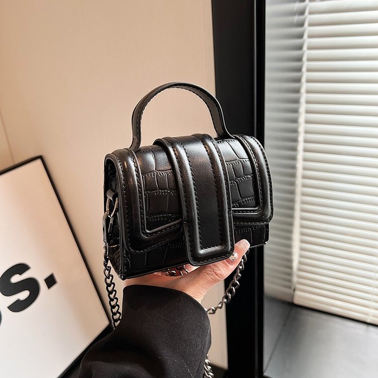 Versatile ins bag 2024 new bag women niche fashion mini handbag high-end chain crossbody bag