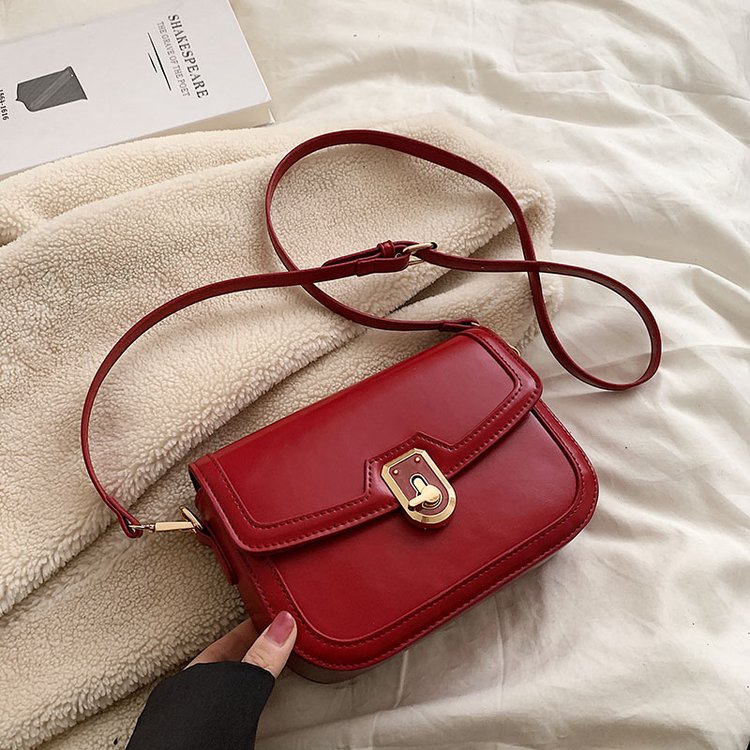 This year's popular bags for women 2024 new high-end ins niche autumn and winter fashion versatile crossbody bag saddle bag