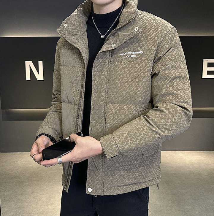 Men's winter down jacket, fashionable stand-up collar, handsome and versatile duck down warm jacket