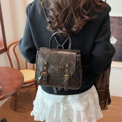 High-end retro travel backpack for women 2024 new popular school bag college students go shopping hand-held backpack