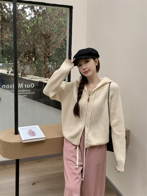 2024 new autumn plus size women's slimming Korean style sweater for women