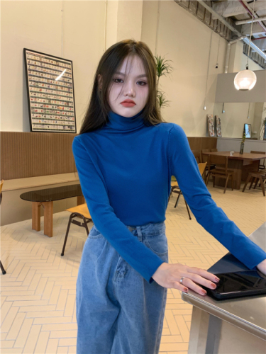 Pile collar bottoming sweater turtleneck pullover sweater