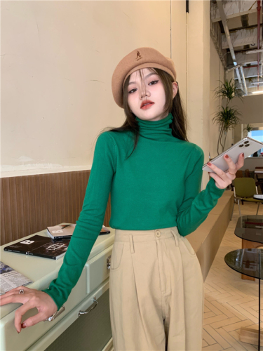 Pile collar bottoming sweater turtleneck pullover sweater