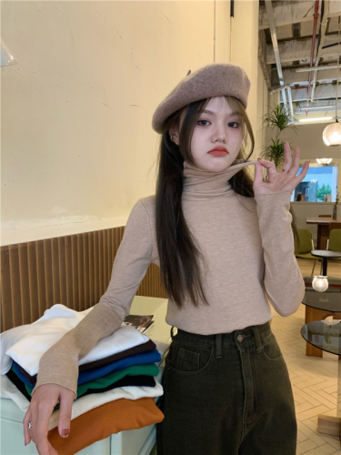 Pile collar bottoming sweater turtleneck pullover sweater