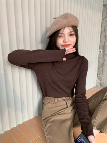 Pile collar bottoming sweater turtleneck pullover sweater