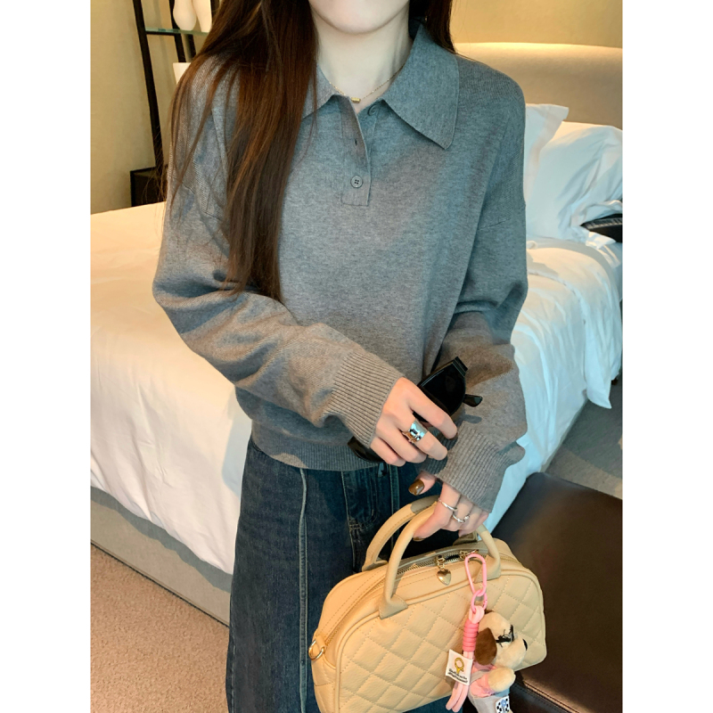 Autumn and winter Korean style temperament polo collar buttoned loose and versatile Andy velvet sweater base sweater