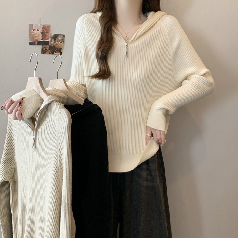 Plus size fat mm autumn new 2024 hooded niche tops to reduce age and cover the belly Polo collar sweater