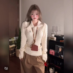 Large size fat mm sweater for women in autumn and winter with design polo collar bottoming shirt top M-4XL