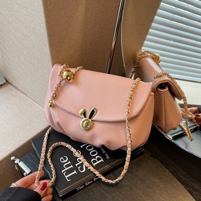 This year's popular niche design bags, new women's bags, Internet celebrity hot models, chain crossbody bags, versatile shoulder bags
