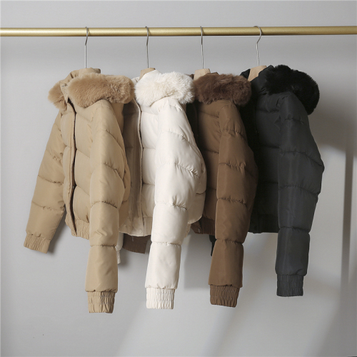 Down jacket women's short Korean style new large fur collar cotton jacket loose thickened solid color cotton jacket