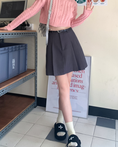 Pleated skirt women's new high waist skirt a line skirt suit skirt