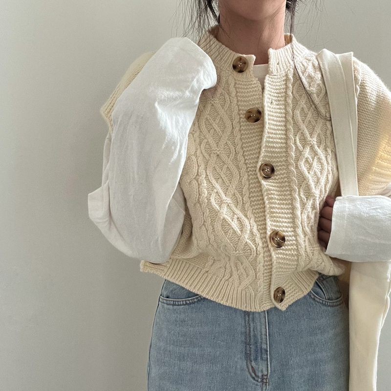Korean chic retro twist sleeveless sweater vest vest design button vest vest women