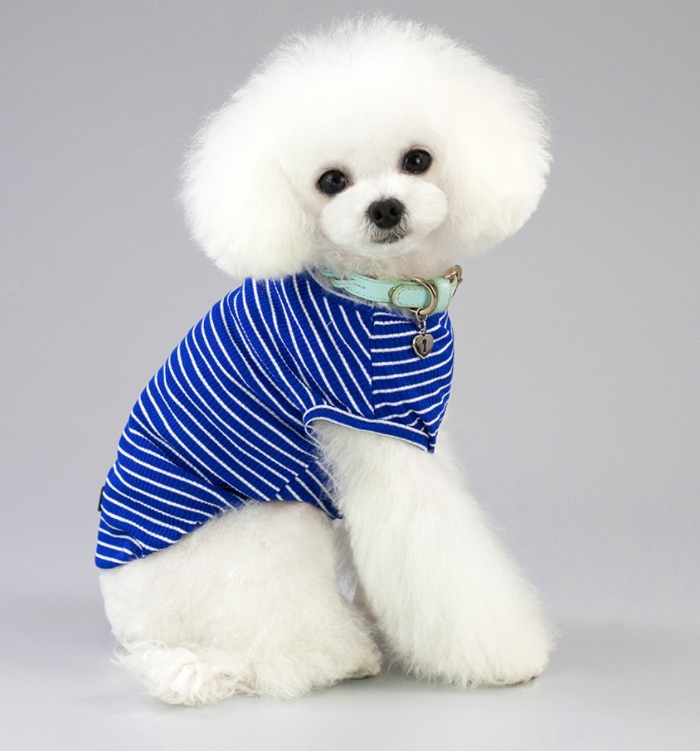 Pet clothing dog clothes Teddy dog ​​small dog cat pet clothes