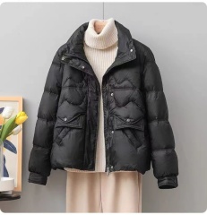 Korean fashion stand collar short down jacket for women in winter new light and casual loose small jacket