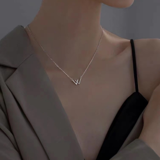 Silver necklace for women with niche design clavicle chain summer simple light luxury versatile decorations