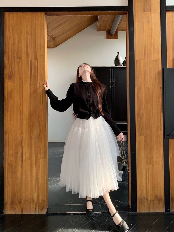 French palace style mesh skirt for women early spring new temperament fashionable gauze skirt A-line mid-length puffy skirt