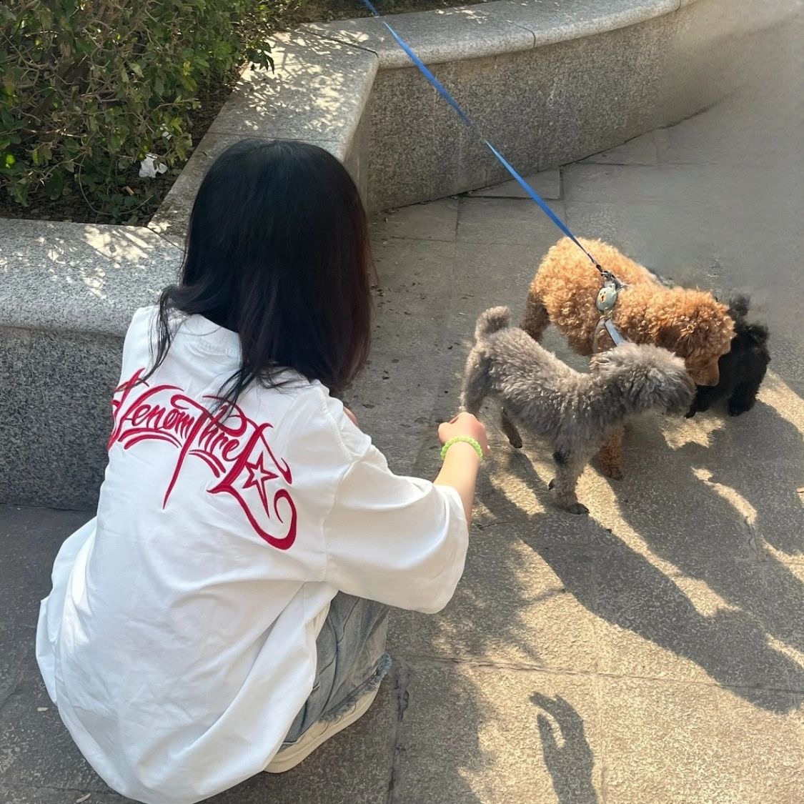 刺秀純棉200克精梳緊密短袖t恤女