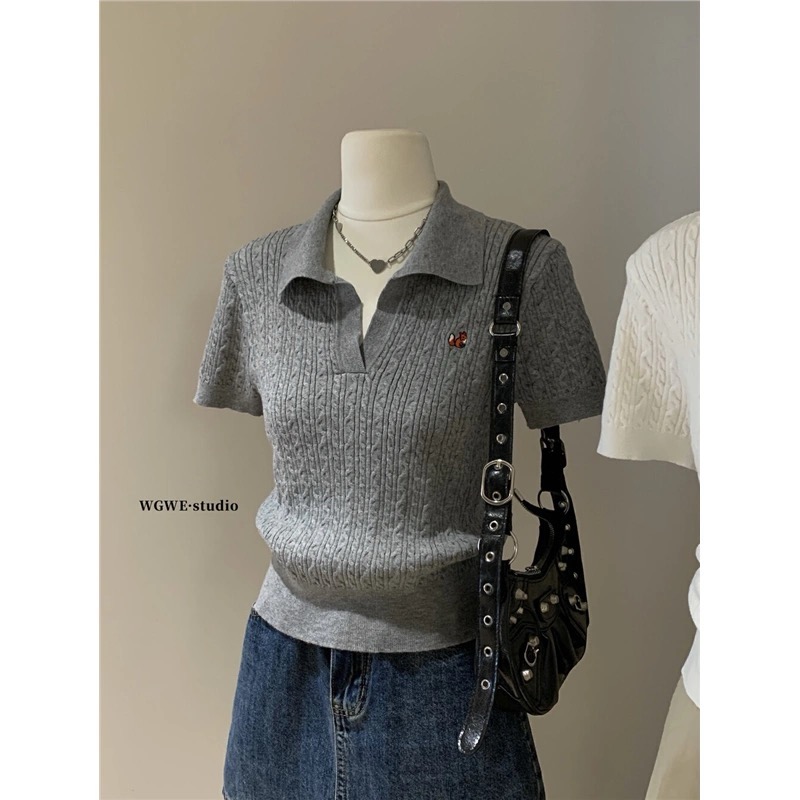 2025 spring and summer new style women's college sweet age-reducing fashion embroidered short-sleeved ice silk sweater top