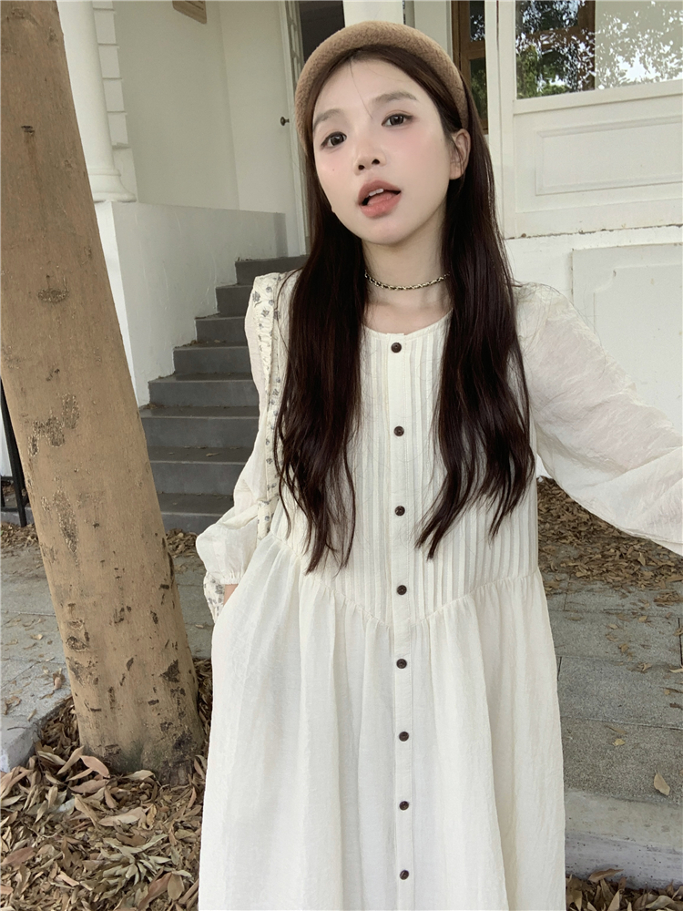 Korean pleated long-sleeved dress for women early autumn 2025 new design high waist loose long A-line skirt trendy