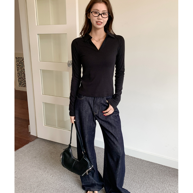 Real-life Hong Kong style V-neck polo shirt lapel long-sleeved T-shirt for women in spring fashionable slim and slim shoulder top