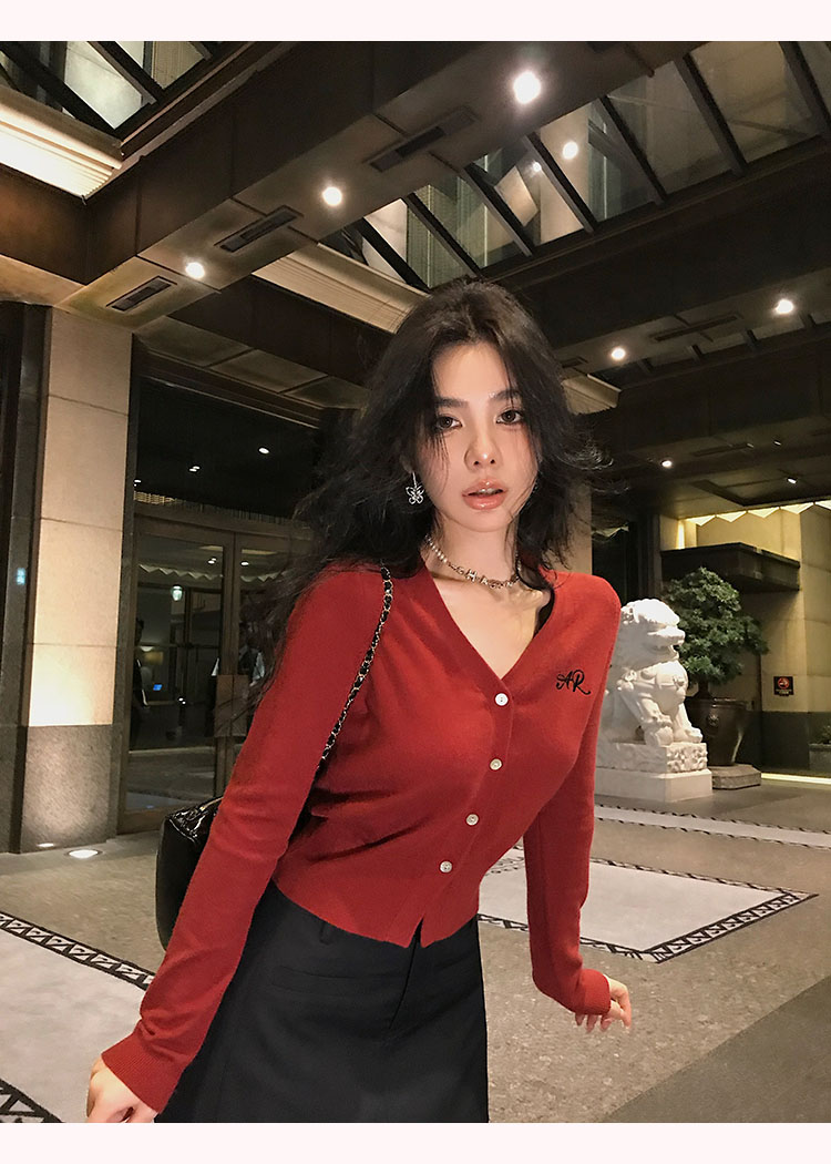 Qiu Ruyao's new autumn V-neck sweater solid color loose slim design sense college long-sleeved embroidered sweater for women