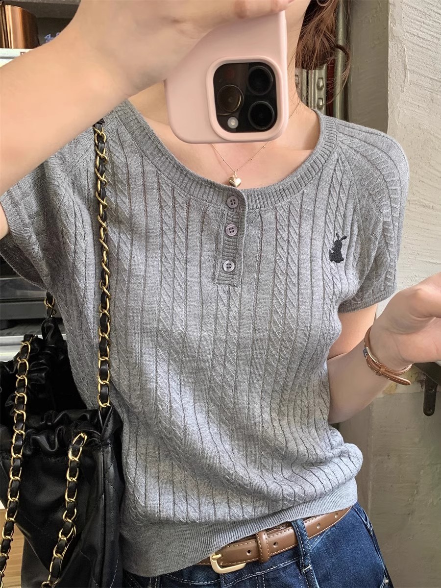 Korean style small shirt women's summer ice silk breathable knitted short-sleeved round neck T-shirt design embroidered top ins