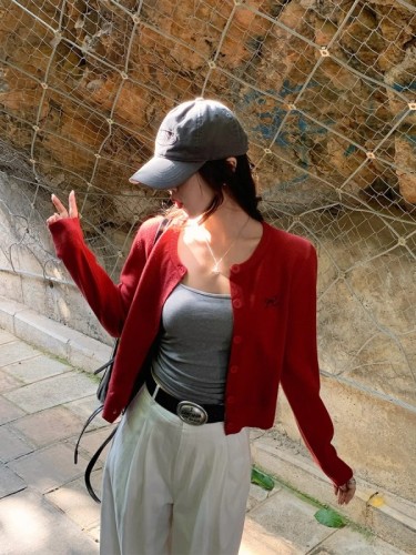 Gray cardigan women's 2025 new knitted jacket spring short top Korean style outfit