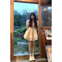 Summer women's French retro waist-hugging high-end temperament puff sleeve princess dress gentle style puff dress