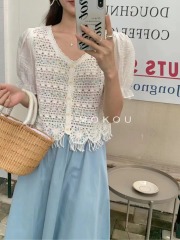 French age-reducing V-neck sweater in summer new heavy industry embroidered chiffon puff sleeve fashionable versatile top