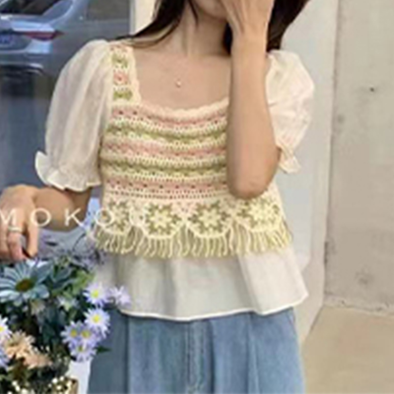 French age-reducing V-neck sweater in summer new heavy industry embroidered chiffon puff sleeve fashionable versatile top