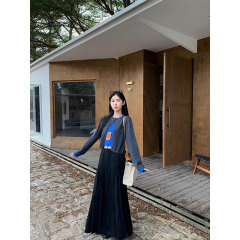 Shipped Retro fake two-piece contrasting T-shirt cardigan for women early autumn new casual short top