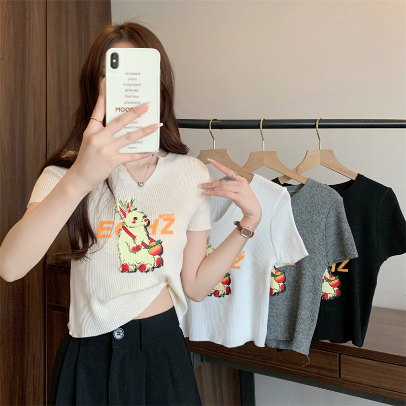 Real-life wholesale price 2025 summer new Korean version slim fit and slim small V-neck cartoon rabbit printed knitted top