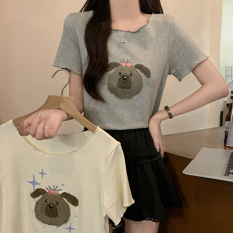 Real shot 1*1 thread 210g short-sleeved T-shirt summer 2025 embroidered slim short round neck top Korean women's clothing