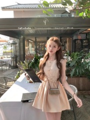 Ruth's Story Jory* Glossy Champagne Pink Embroidered Beaded Waist Cinching Dress