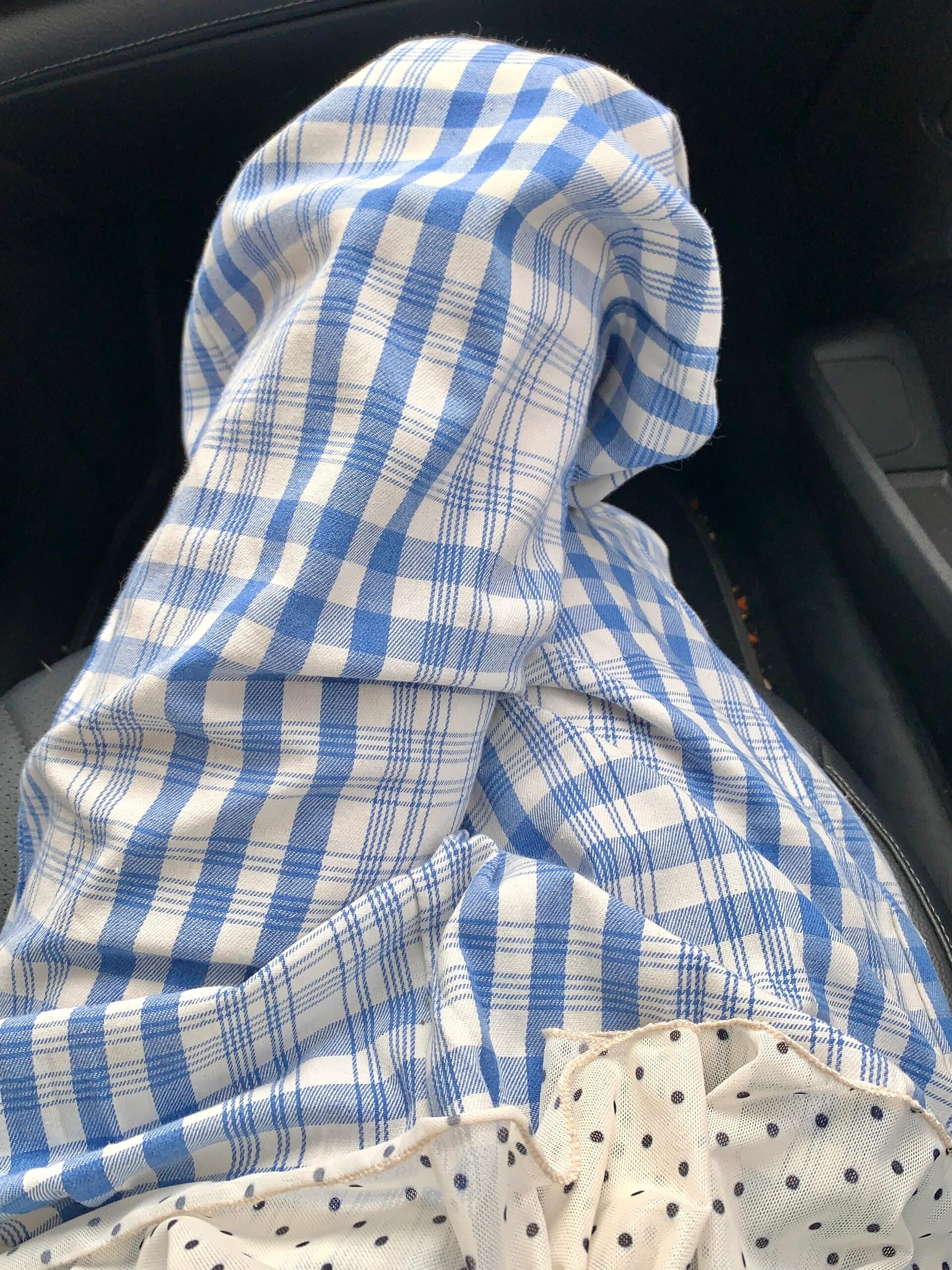 Korean simple temperament blue plaid casual pants for women 2025 spring and summer loose and versatile wide-leg floor straight trousers