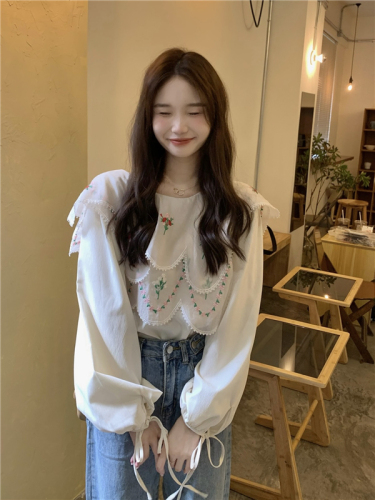 Real-life auction and real-price!  Korean doll collar chiffon shirt retro design niche splicing embroidered long sleeve chic shirt