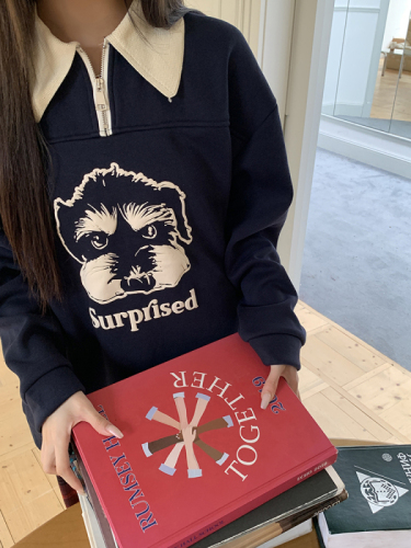 Real-life photography new autumn and winter design American polo collar sweatshirt contrast printing loose long-sleeved top for women