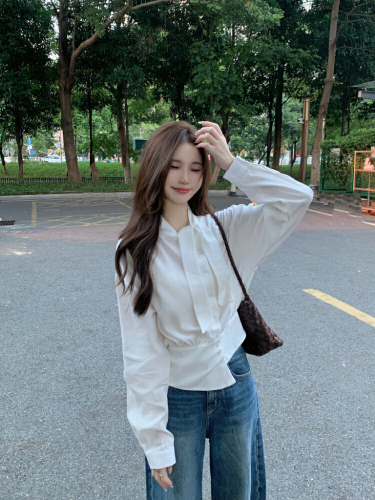 Real-shot! French-style high-intellect ribbon-design long-sleeve shirt for women—versatile side-placket, cropped, and available in white