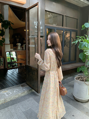 Real-shot, soft-style dress featuring a ruffled hem, tie-up details, and delicate floral patterns—designed with a cinched waist for a slimming, elegant look.