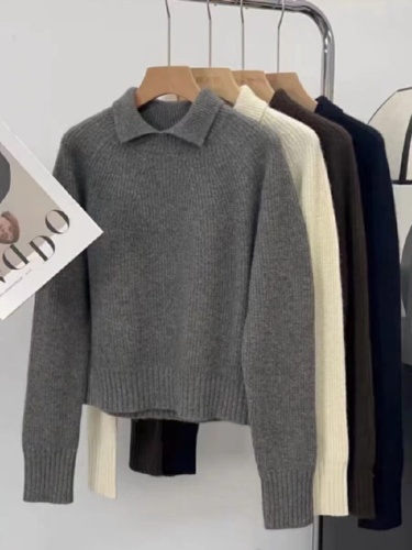 Chic Dongdaemun French Autumn/Winter 2025 New Korean Style Simple and Versatile Wool Small Collar Hooded Sweater