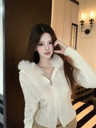 Live shot~ Gentle Hooded Zipper Sweater Winter New Elegant Slimming Short-Sleeve Knit Top