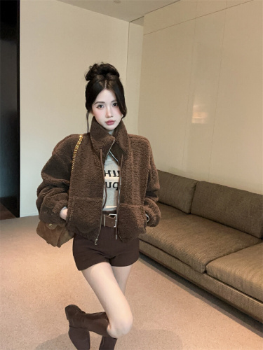 Photographed~ Lamb's wool standing collar zipper short sleeve open jacket 2025 autumn winter new loose quilted and thickened