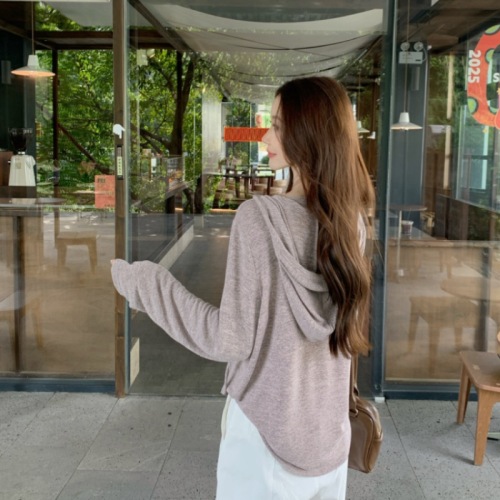 Photographed! Autumn Simple Loose Elegant T-shirt Top Versatile Korean Style Soft and Cute Half-Open Collar Hooded Sweatshirt