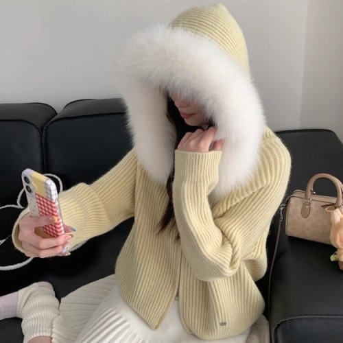 Doris Fur Soft Tone Autumn Fox Hooded Cardigan Winter New Lazy Style Soft Outerwear for Women