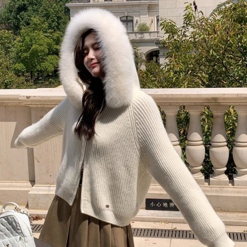 Doris Fur Soft Tone Autumn Fox Hooded Cardigan Winter New Lazy Style Soft Outerwear for Women