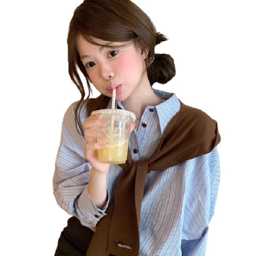 A French-style, unique, exquisite pure cotton crewneck shirt with blue stripes and long sleeves.